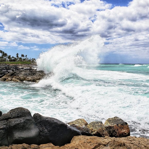 Meet your Posher, Carrie - Picture 13 of 15